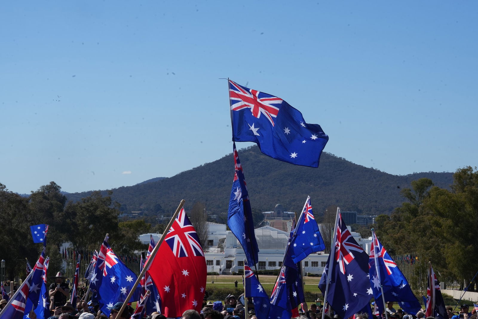 A  collection of australian flags wave int he wind above a group of protesters