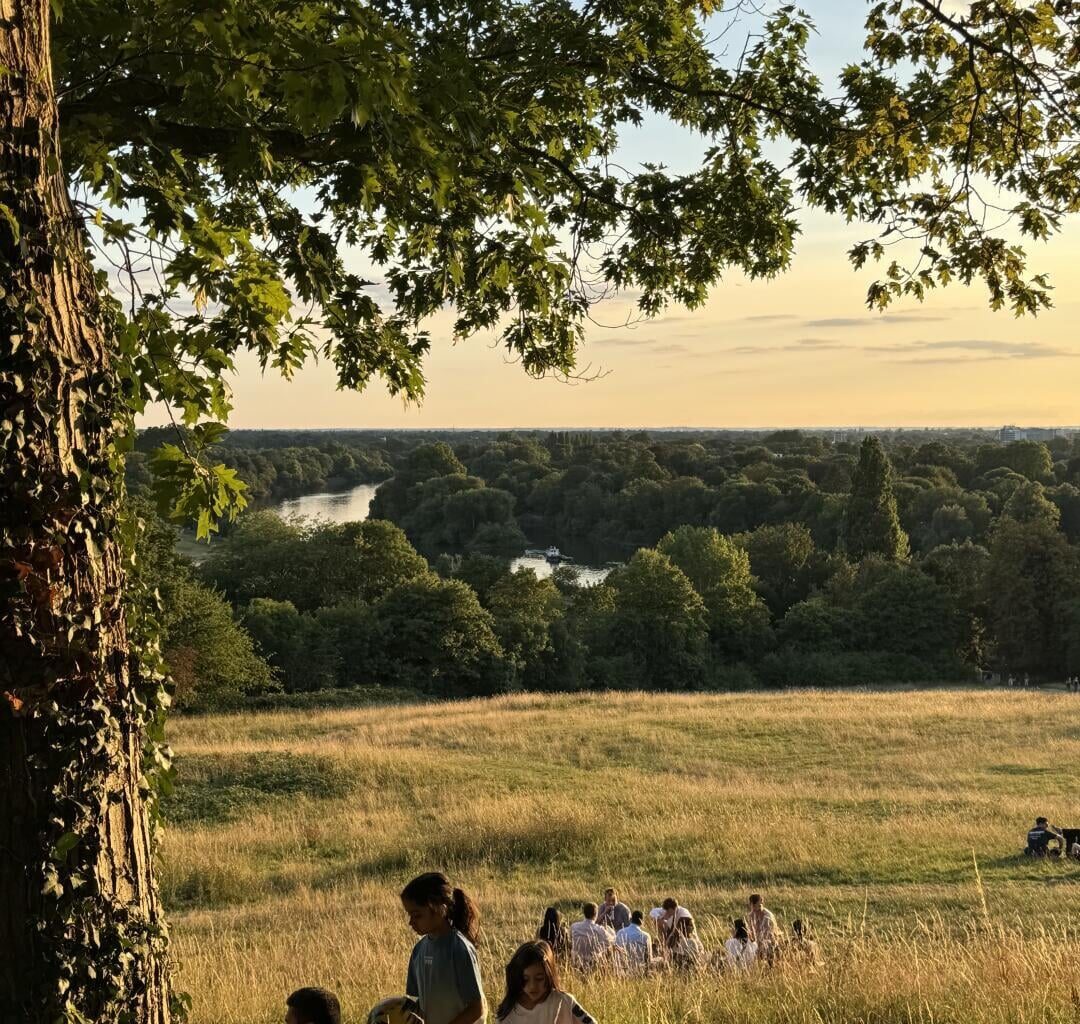Cherish the British summer .