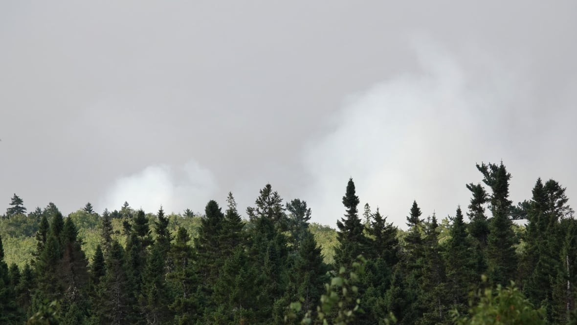 Smoke is seen above the treeline.