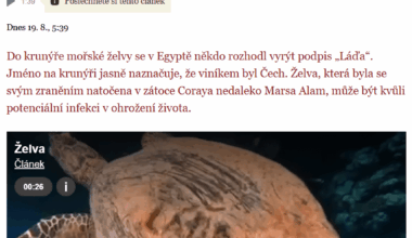 Měl by takový člověk dostat trest natvrdo do basy?