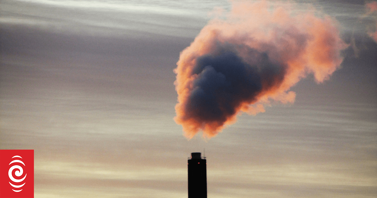 Three of New Zealand's biggest emitters no longer have to reveal their climate impact