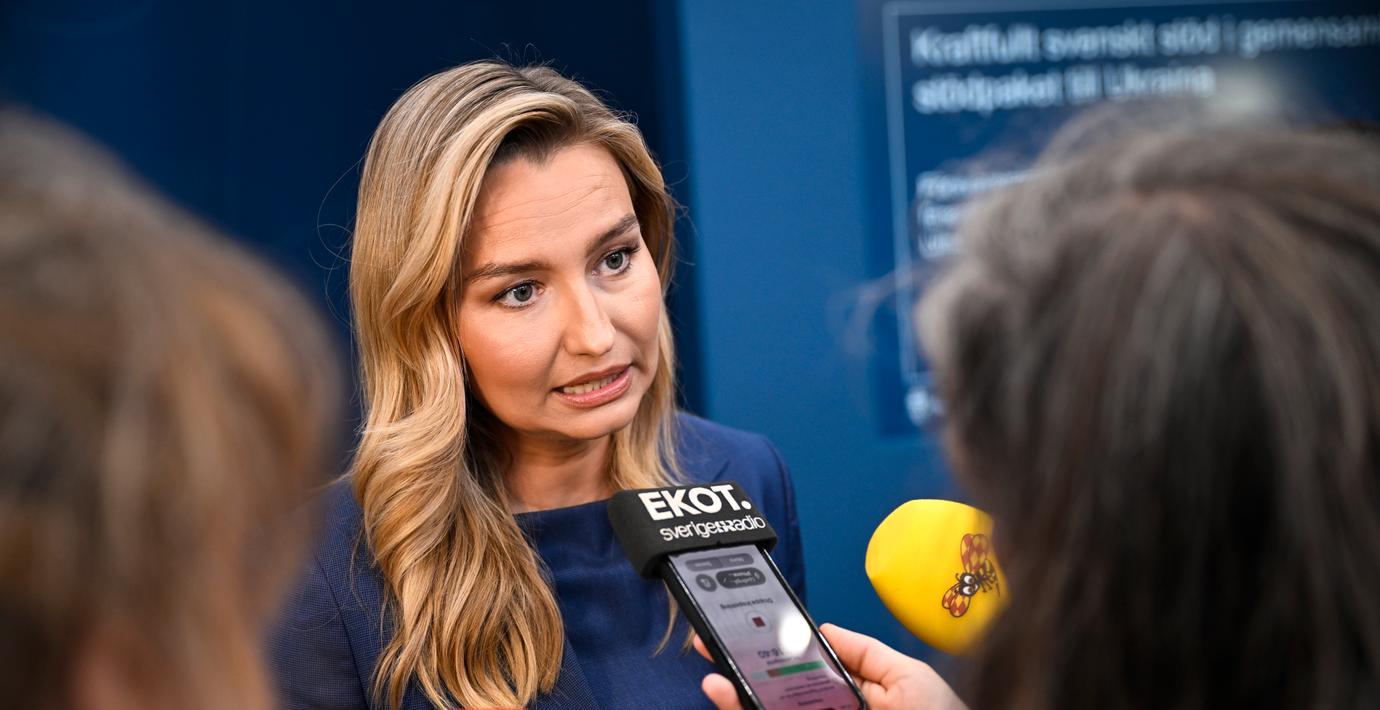 Busch: ”Israel gör hela världen en tjänst”