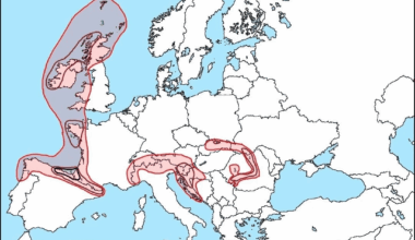 Inbred distribution according to eurostats