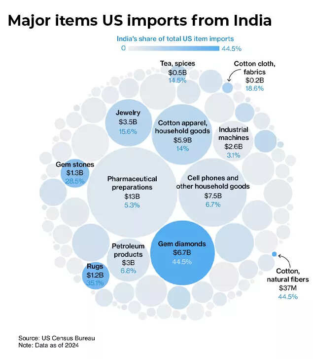 Major items US imports from India