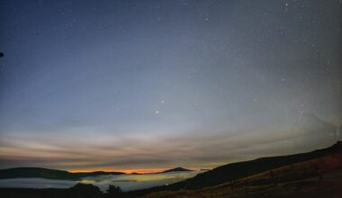Stary stary morning