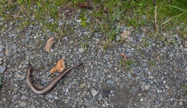 Was ist hier passiert?