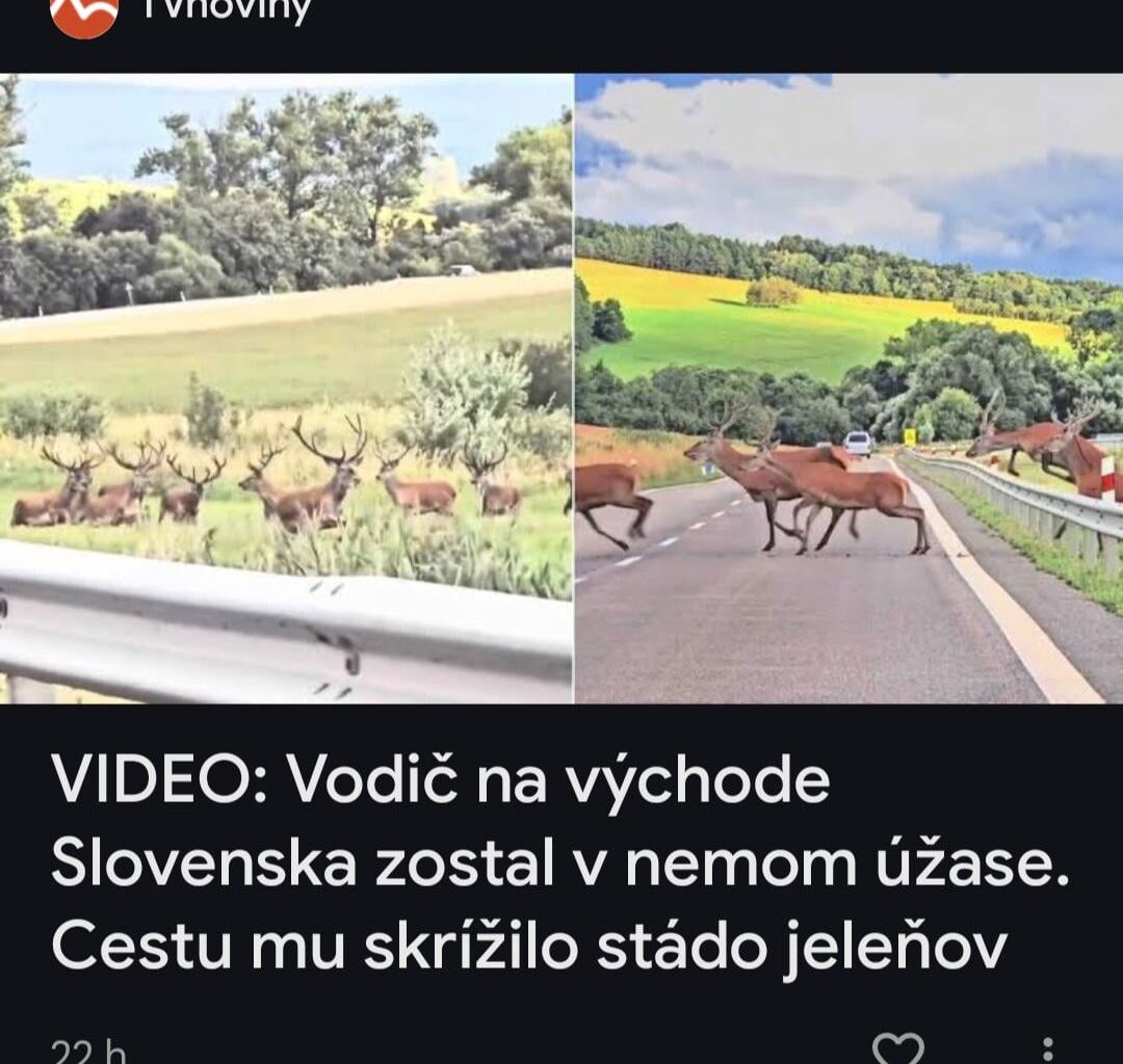 Správy Markízy be like: 🤯