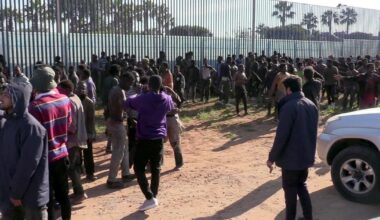 Au Maghreb, l’alarmante prolifération de la théorie du “grand remplacement”