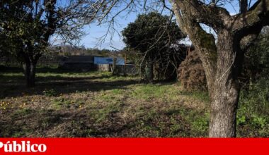 Há mais procura por solos rústicos, mas não para habitação
