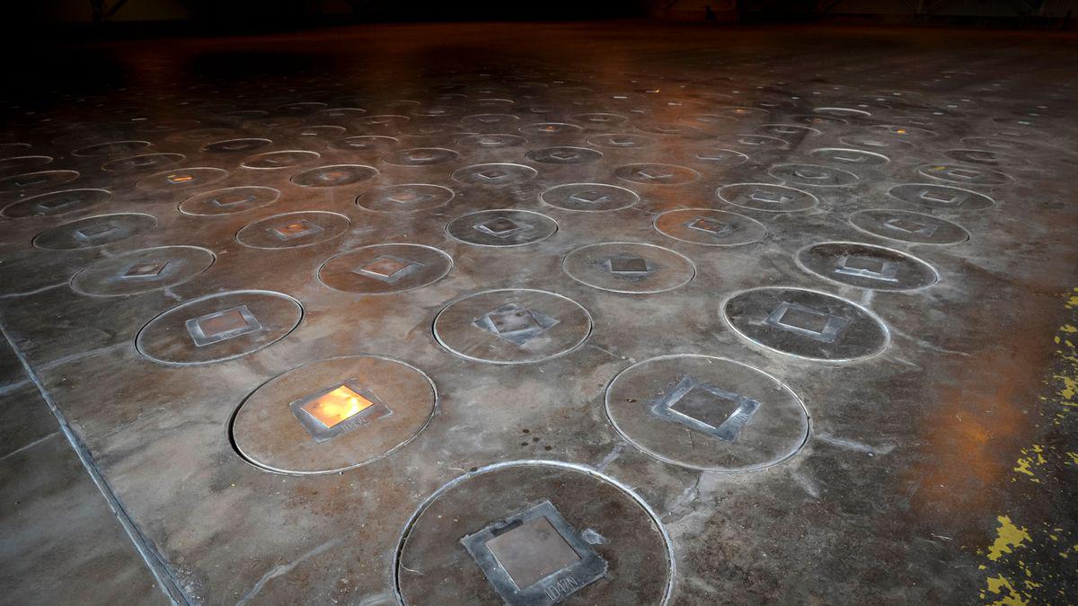 South Carolina: Weitere radioaktive Wespennester gefunden – Anwohner fürchten Atomwaffenfabrik-Leck