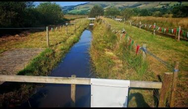 World Bog Snorkelling Championships 2025