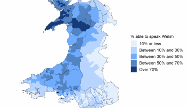 How do you think the iaith Cymraeg (Welsh language) will fare in the distant future?
