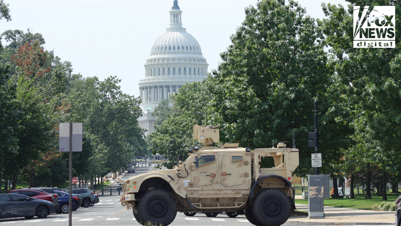 White House separates 19-state National Guard immigration deployments from Trump's DC crime operation