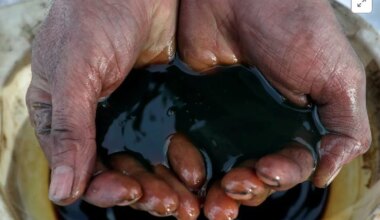 Govt has not directed oil companies anything on Russian oil imports: HPCL chairman