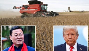 China says 'rampant' US protectionism threatens agricultural ties