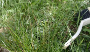 Hab die Lady aus der Regentonne gefischt