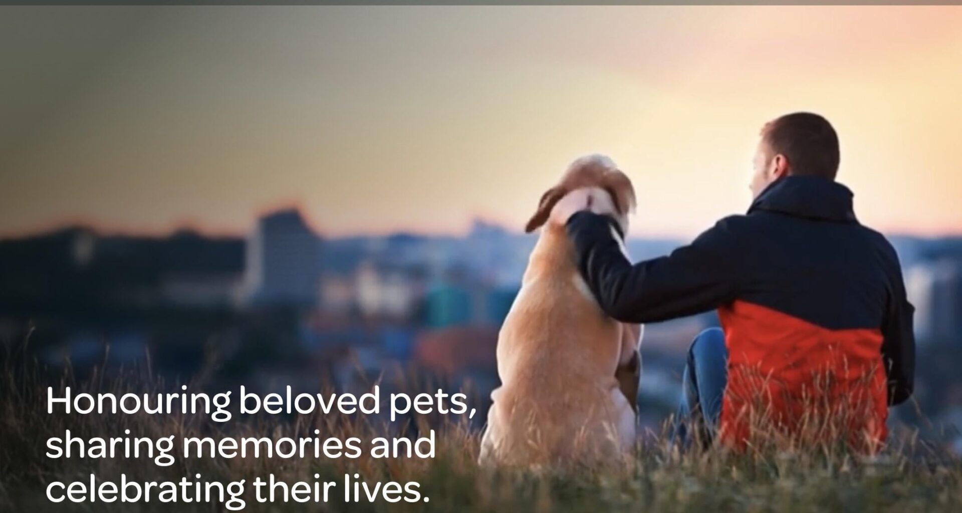 Finally! RIP.ie for pets is here.