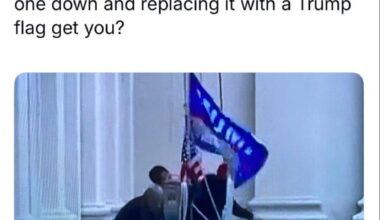 Replace the American flag with a Trump flag and you won’t get prison , you’ll get a Cabinet seat, a suitcase of bribes, and free spray-tan refills for life.