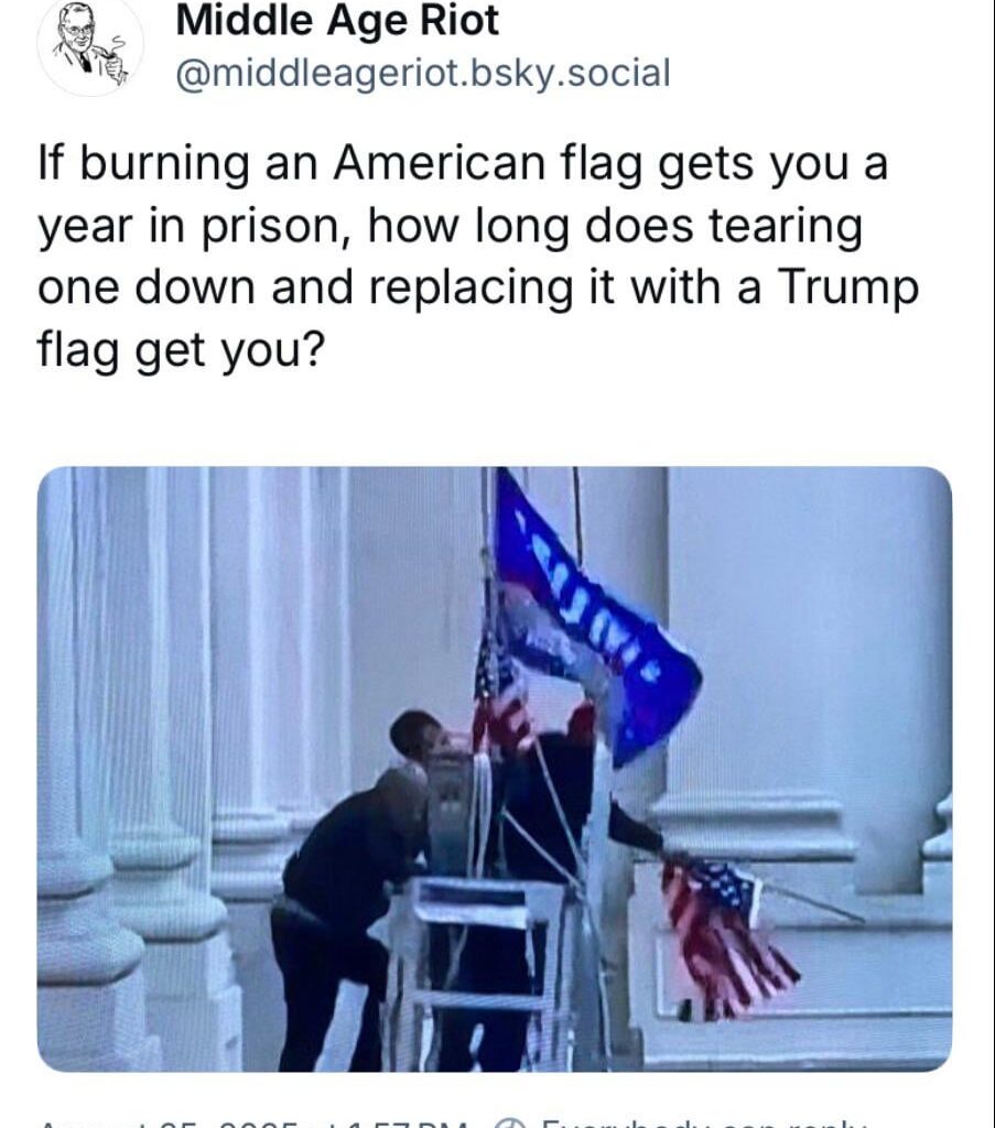 Replace the American flag with a Trump flag and you won’t get prison , you’ll get a Cabinet seat, a suitcase of bribes, and free spray-tan refills for life.