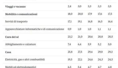 Come sono cambiati i consumi degli italiani dal 1995 al 2025, per settore e regione (indagine Confcommercio)