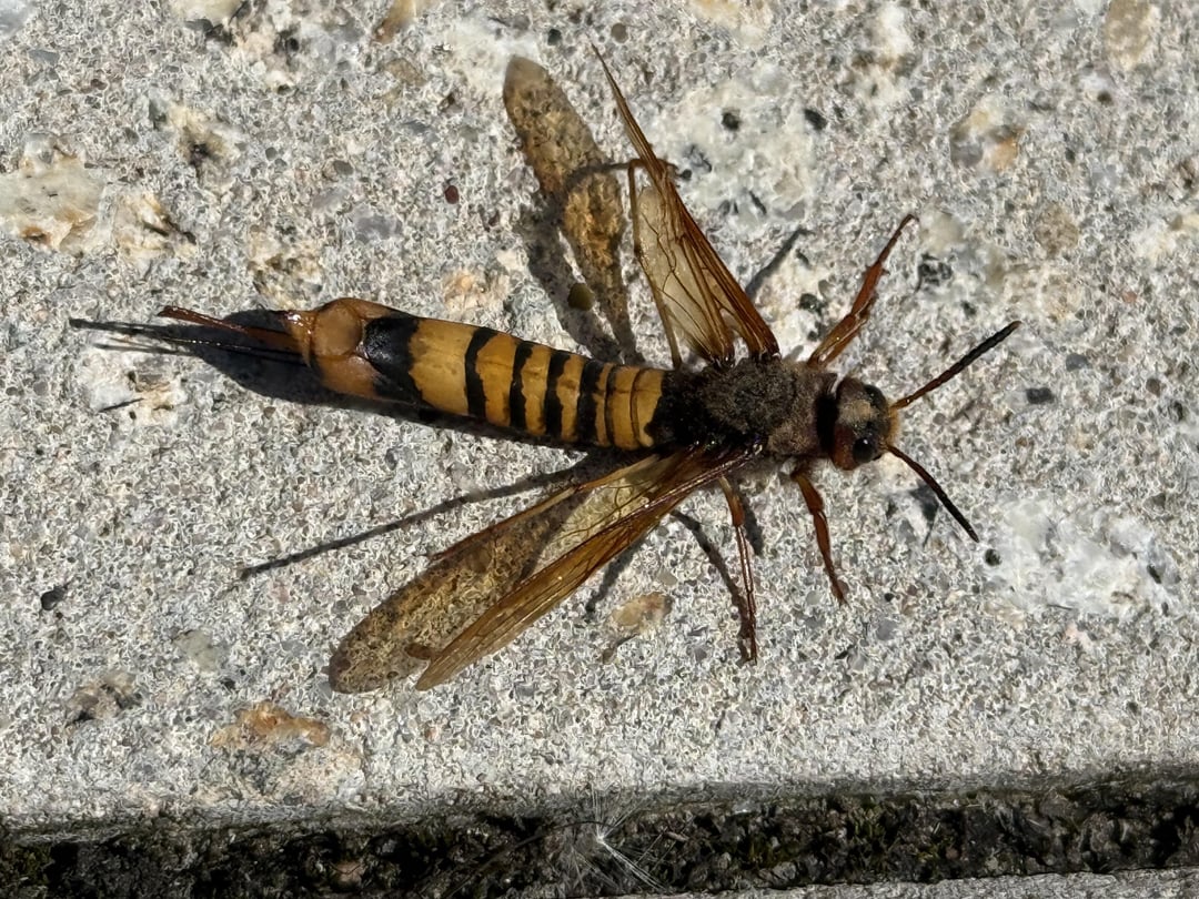 Was habe ich denn hier gesehen?
