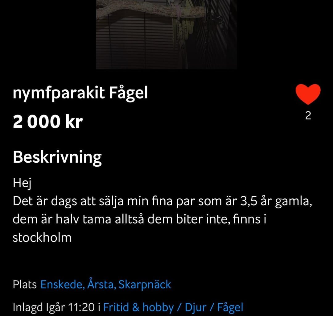 Hjälp mig hitta mina fåglar