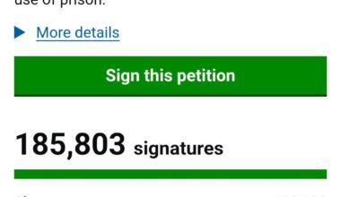You have a voice we will just delay it indefinitely