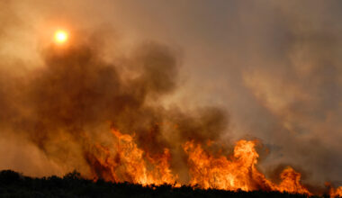 Incendio en un bosque