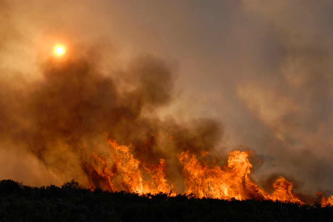 Incendio en un bosque