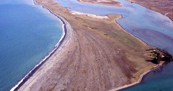 Body recovered from Marlborough's Wairau Bar