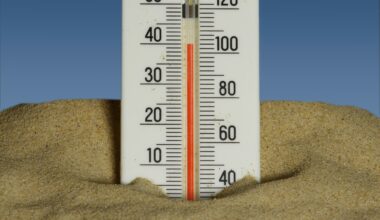 Record-shattering heat grips Norway, Sweden and Finland as Arctic temperatures top 30C