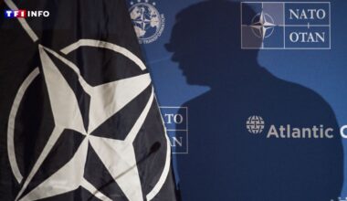 Incident impliquant un drone russe : la Lituanie en appelle à l'Otan