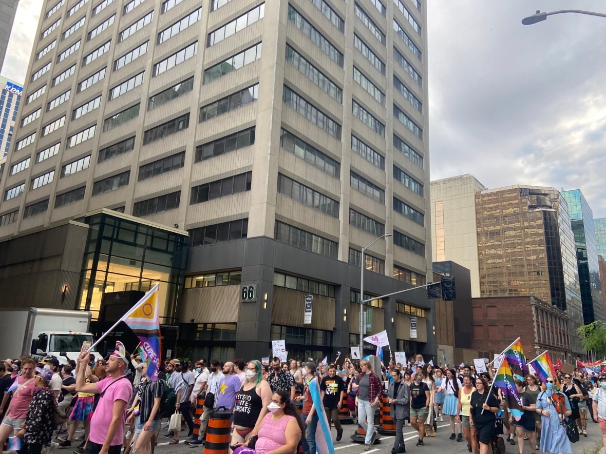 A crowd of people holding pride flags and trans flags march in support of trans rights in Ottawa on Aug. 22, 2025. 
