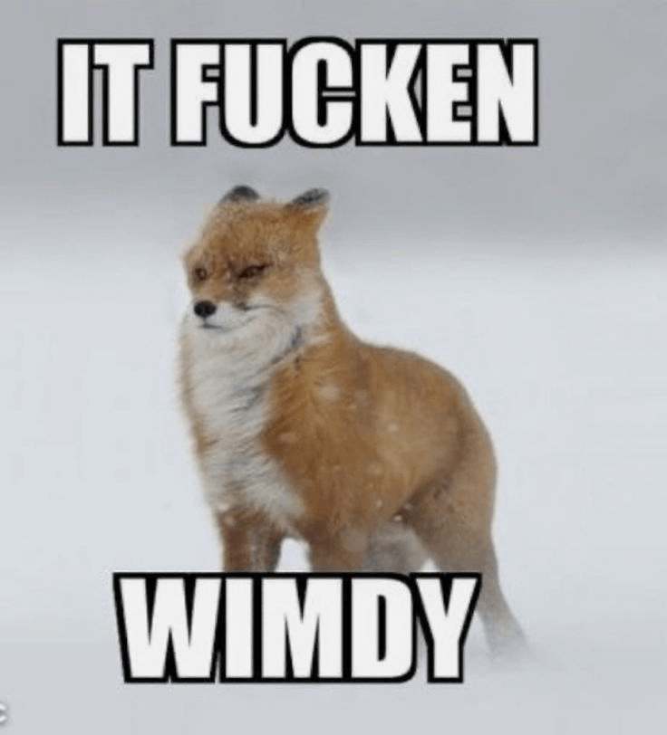 No wimdy posts?