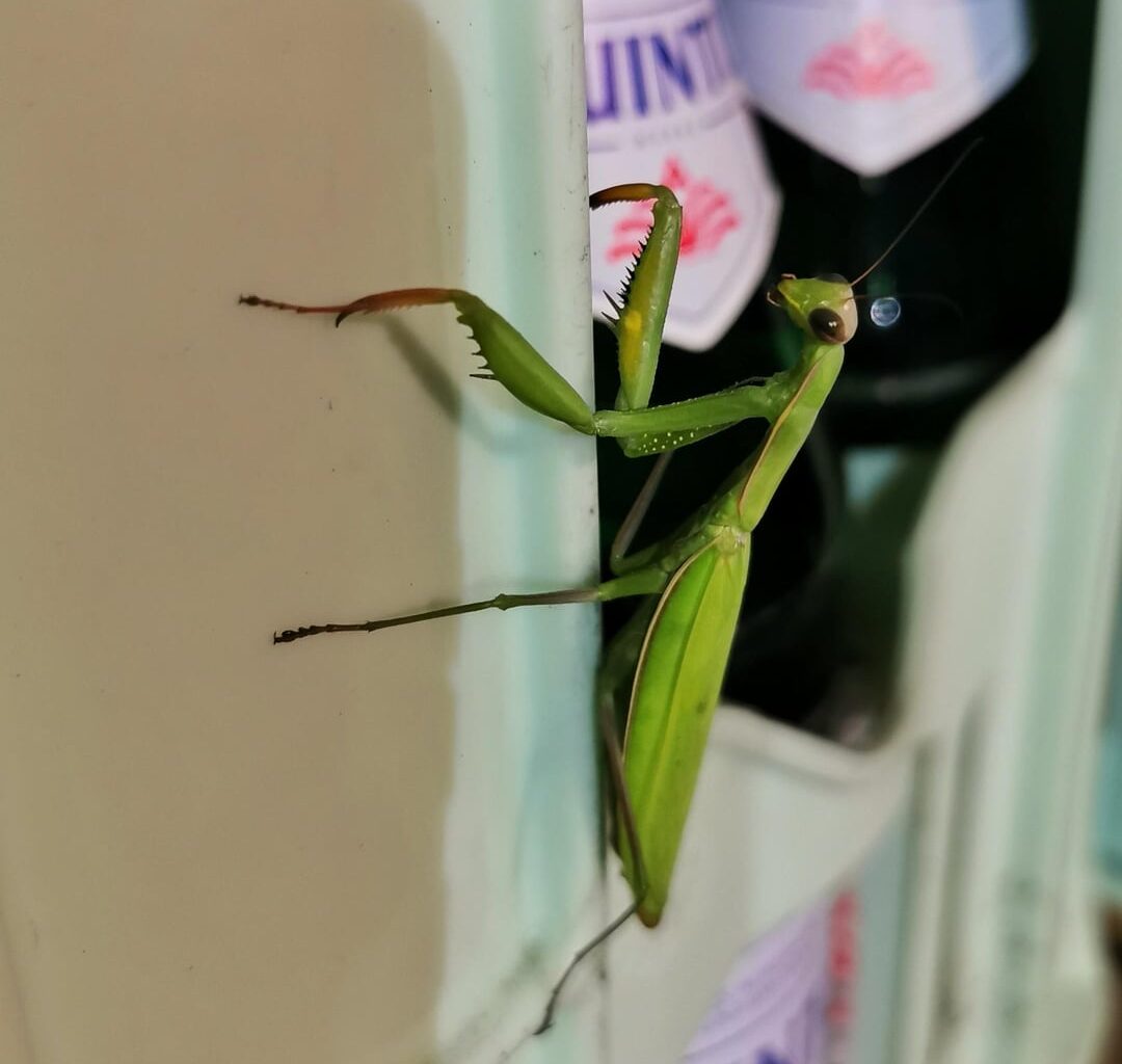 Besuch auf der Arbeit 😍