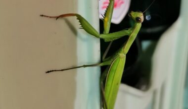 Besuch auf der Arbeit 😍