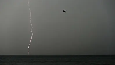 Met Éireann Issues Thunderstorm Warning For Three Counties As Temperatures Rise