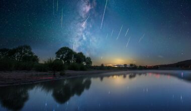Perseiden 2025: In dieser Nacht erreicht der Sternschnuppen-Schauer den Höhepunkt