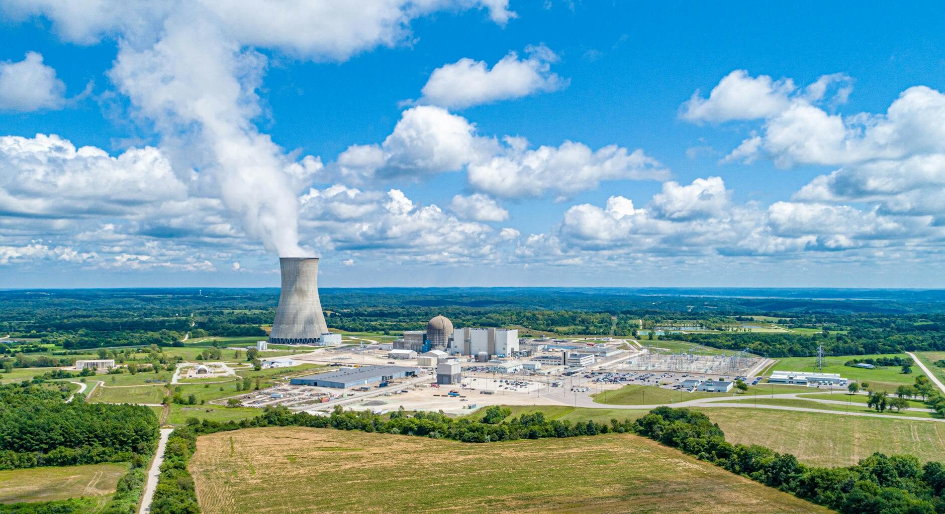 callaway plant under blue sky