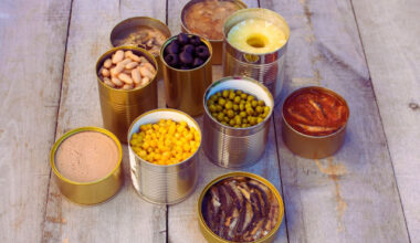 Bulgaria: Can Bulgaria’s Canning Sector Survive? Experts Warn of Industry Collapse