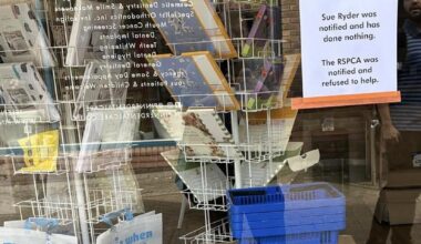 A fox has been trapped in a charity shop since Sunday…