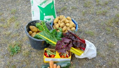 Ernte und erste stillgelegt Fläche