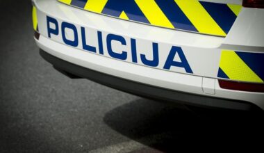 Burna noč v Šmarjeti na Dolenjskem: Rom vdrl v svinjak in zaklal prašiča, domačini ukrepali po svoje