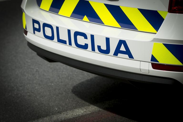 Burna noč v Šmarjeti na Dolenjskem: Rom vdrl v svinjak in zaklal prašiča, domačini ukrepali po svoje