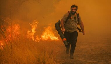 Auch Portugal bittet EU um Hilfe im Kampf gegen Waldbrände