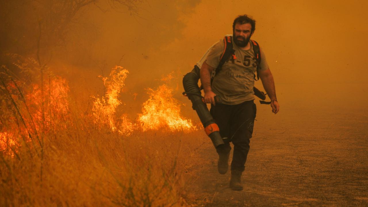 Auch Portugal bittet EU um Hilfe im Kampf gegen Waldbrände
