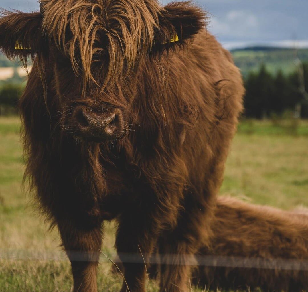 Trip to Scotland