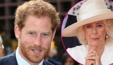 Prince Harry’s Claims About Queen Camilla Debunked By Ex-Royal Butler