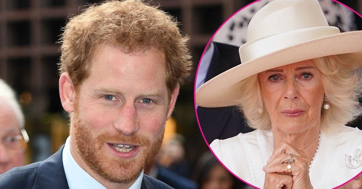 Prince Harry’s Claims About Queen Camilla Debunked By Ex-Royal Butler