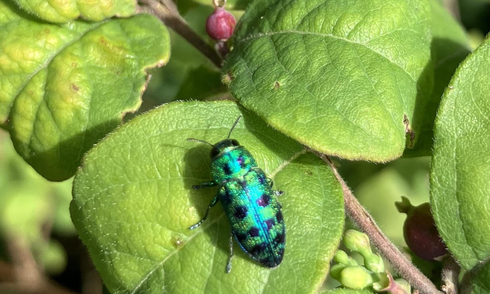 Was ist das denn für einer?